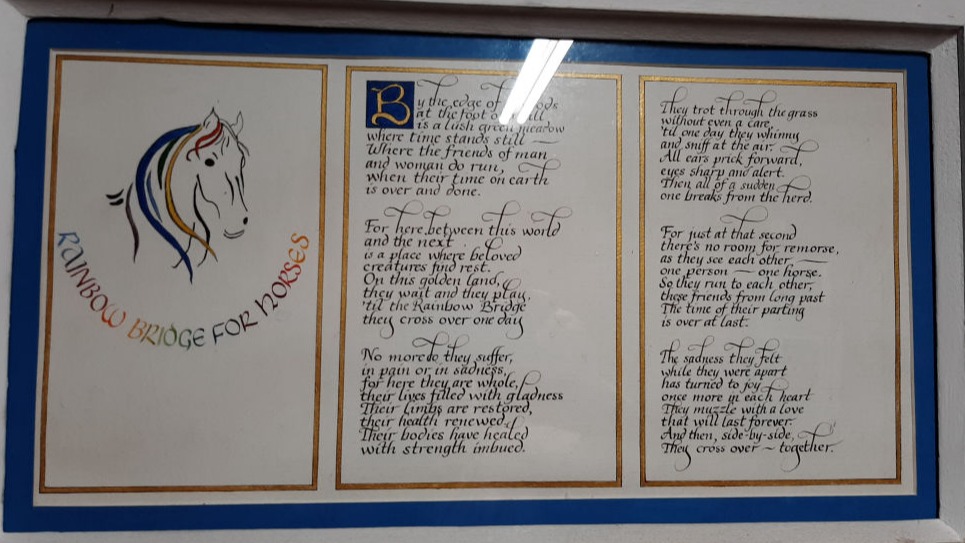 Rainbow Bridge for Horses