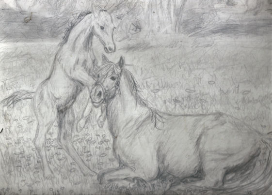 Horses at play - original sketch