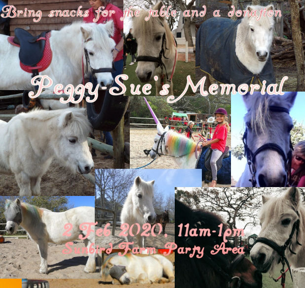 Remembering Peggy Sue and all the others