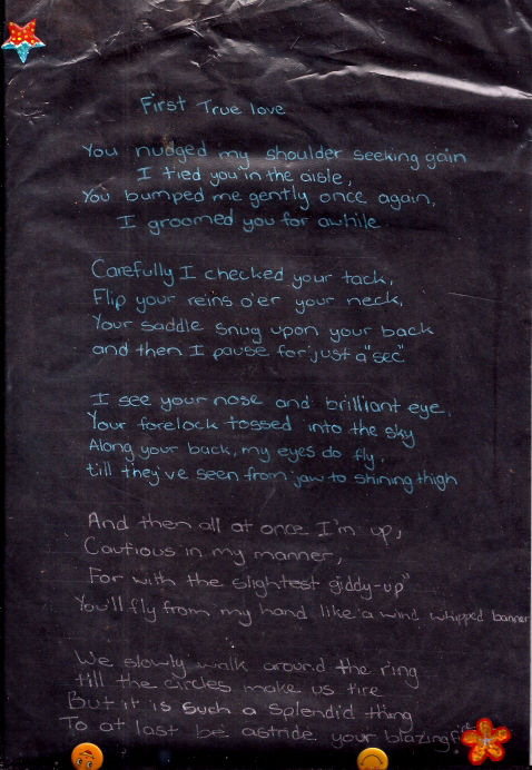 Poem written by rider